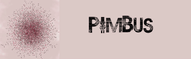 Pimbus